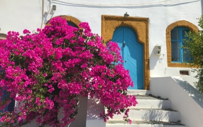 North Cyclades cruise: Andros and Tinos